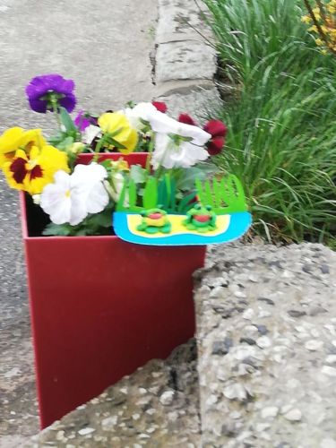Zdjęcie od Krystyna(16) (1) (1)